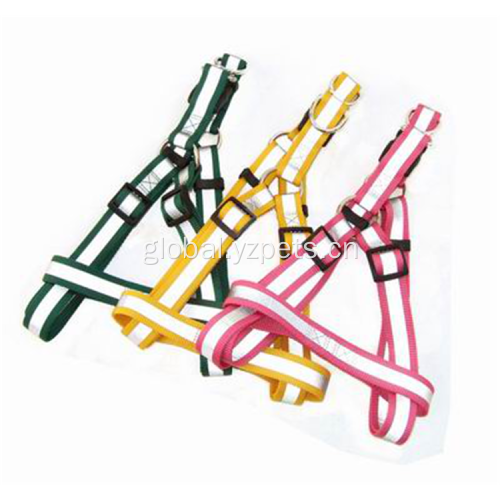 China Hot sales dog strap harness for walking dog Factory